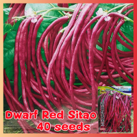 ราคา เมล็ดพันธุ์ ถั่วแขก ถั่วพุ่ม Red Dwarf Red Sitao Seeds ผลผลิตสูง บรรจุ 40 เมล็ด ปลูกง่าย โตไว เมล็ดพันธุ์ถั่วแขก Bean Plants Seeds Vegetable Seeds เมล็ดพันธุ์พืช เมล็ดพันธุ์ผัก เมล็ดผัก เม็ดผัก ผักสวน