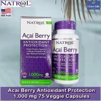 ราคา อาซาอิเบอร์รี่ Acai Berry Antioxidant Protection 1000mg 75 Veggie Caps Natrol (7206720670)