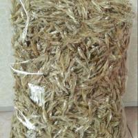 ราคา ปลาซิว ปลาซิวแก้วตากแห้ง จากเขื่อน ไม่ใส่สารปรุงรสไม่เค็ม น้ำหนัก 1000 กรัม มีบริการเก็บเงินปลายทาง (17299712745)