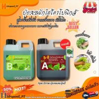 ราคา AB สลัด ปุ๋ย AB ไฮโดรโปนิกส์ สำหรับผักสลัด ผักไทย ผักจีน ซื้อ 1 ได้ 2 ปุ๋ย A 1 ลืตร ปุ๋ย B 1 ลิตร ฟรีเมล็ดผัก1ซอง (19802122110)