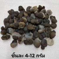ราคา หินคาลซิโดนีนำเข้าจากโมร็อกโก Chalcedony Nodules (17699362725)