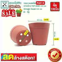 ราคา กระถางแคคตัส สีแดง สีขาว สีดำ สีอิฐ คละสี ขนาด 2 5 นิ้ว 100 ใบ เนื้อพลาสติกหนาทนทาน ราคาถูก กระถางกระบองเพชร กระถางแคคตัส (16938634684)