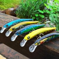 ราคา SHILIHUI เหยื่อตกปลาเหยื่อปลอมแบบแข็งเหยื่อปลอมปลาซิวเหยื่อตกปลา3D Eyes Wobblers ปลาคาร์พพลาสติกลอยน้ำ Jerk Baits Pesca อุปกรณ์ตกปลา Dw499 (7724675322)