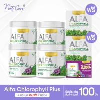 ราคา เซตขายดี 4 กระปุก แถมฟรีขนาดพกพา 2 กล่อง Real Elixir Alfa Chlorophyll Plus Fiber คลอโรฟิลล์ (21237414082)