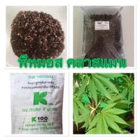 ราคา พีทมอส Peat Moss สูตรใหม่ GreenFibre คลาสแมน ดีกว่าเดิม (15981823640)