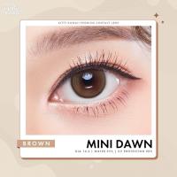 ราคา คอนแทคเลนส์ Mini Dawn Brown Gray ยี่ห้อ Kitty Kawaii ค่าสายตาปกติ 700 (21069975343)