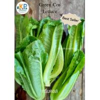 ราคา ผักสลัดอินทรีย์ Organic salad vegetables (19546026757)