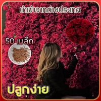 ราคา 50 เมล็ด เมล็ดกุหลาบ พร้อมส่ง เมล็ดพันธุ์ ชุดดอกกุหลาบ ขายดี ปลูกง่าย เมล็ดสด 100 เมล็ดพันธุ์ แต่งบ้านและสวน Seeds for planting เมล็ดพันธุ์ดอกไม้ เมล็ดดอกไม้ พันธุ์ดอกไม้เมล็ดดอกไม้ต้นบอนสี พันธุ์ดอกไ