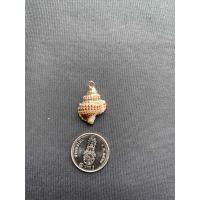 ราคา จี้หอยสังข์ธรรมชาติ Natural conch pendant Gold and silver plated (20050293886)