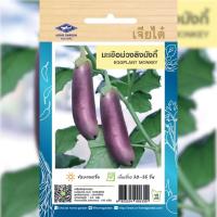ราคา เมล็ดพันธุ์ มะเขือม่วงลิง มังกี้ ตราเจียไต๋ (19540033768)