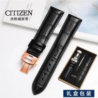 ราคา Citizen สายนาฬิกา หนังวัวแท้ ทนทานต่อการสึกหรอ กันเหงื่อ แสง พลังงานจลนศาสตร์ นาฬิกา Blue Angel พร้อมหัวเข็มขัดรูปผีเสื้อตัวผู้ 23 มม (16897243494)
