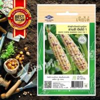 ราคา เมล็ดพันธุ์ ข้าวโพด ข้าวเหนียวสามสี เจียไต๋1 CORN SEED เจียไต๋ (19261985979)