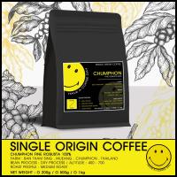 ราคา เมล็ดกาแฟชุมพร 200g l CHUMPHON FINE ROBUSTA l HAVE A COFFEE DAY l SINGLE ORIGIN COFFEE (17460165364)