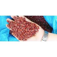 ราคา ถั่วลิสงดิบ1000g ถั่วดำดิบ 1000g (19884476596)