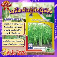 ราคา เมล็ดพันธุ์ผักบุ้งจีน ไผ่เรียกทรัพย์ 1kg ระยะเก็บเกี่ยว 20 25 วัน เมล็ดพันธุ์ เจียไต๋โฮมการ์เด้น เมล็ดผักบุ้งจีน ผักบุ้ง ผักบุ้งจีน homes (20360093990)