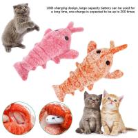 ราคา Https www chewy comhartz just cats gone fishin cat toydp183697 Https www chewy comkong active chase craze cat toydp179701 Interactive Cat Toy Smart Cat Toy USB Rechargeable Cat Toy Electric Cat Toy Fl