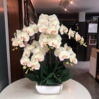 ราคา กระถางกล้วยไม้ประดิษฐ์ขนาดใหญ่ กล้วยไม้ปลอมพร้อมกระถาง ดอกไม้ประดิษฐ์ตกแต่งบ้าน (20026089671)