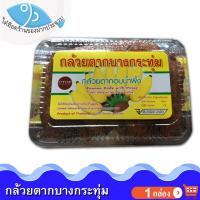 ราคา ไต๋ฮ๊อด กล้วยตากบางกระทุ่ม 120กรัม 1กล่อง กล้วย กล้วยตาก กล้วยหอมตาก กล้วยอบแห้ง กล้วยอบน้ำผึ้ง กล้วยบางกระทุ่ม กล้วยอบ ของแห้ง ของฝาก (11243418905)