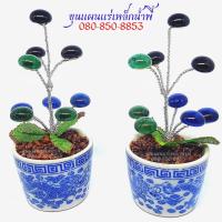 ราคา ต้นไหลน้ำพี้ 3 สี 9เม็ด พุทธคุณดูดทรัพย์เม็ดไหลน้ำพี้แท้100 รับประกันของแท้จากบ่อเหล็กน้ำพี้ จ อุตรดิตถ์ (15933558024)