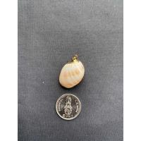 ราคา จี้หอยสังข์ธรรมชาติ Natural conch pendant Gold and silver plated (20050293868)