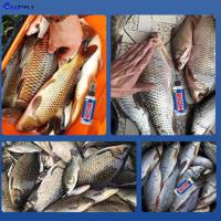 ราคา Crazyfly เหยื่อตกปลาสเปรย์ที่มีกลิ่นที่ไม่อาจต้านทานสำหรับปลาสำหรับ Carps ปลาช่อน CF MY ปลาช่อน (20543961720)