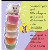 ราคา ทรายอาบน้ำหนูแฮมสเตอร์ แบบไม่มีกลิ่น อ่อนโยน ไม่แพ้ง่าย ขนาด 500 กรัม ทรายอาบน้ำหนู หนูแฮมสเตอร์ (14162985580)