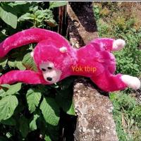 ราคา Yok thip ลิง ลิงตัวใหญ่ ลิงของเล่น ลิงร้องได้ ลิงกอดคอ ตุ๊กตาลิง ตุ๊กตาผ้า ลิงผ้าขน ลิงน่ารัก ตุ๊กตาลิงของเล่นเด็ก ลิงร้องเจี๊ยบๆ ลิงหลากสี (18501160673)