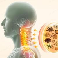 ราคา VK SHOP หมอนสมุนไพรเย็นสบายสำหรับคอ ช่วยปรับสมดุลร่างกาย (19533956139)