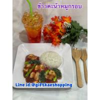 ราคา โมเดลข้าวคะน้าหมูกรอบ ราคาเฉพาะจานข้าวจ้า เหมาะสำหรับตกแต่งโชว์เพื่อเพิ่มยอดขาย สินค้าไม่เน่าไม่เสีย (16254362336)