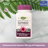 ราคา สารสกัดเอ็กไคนาเซีย Echinacea Root Complex 900 mg 100 Vegan Capsules Natures Way (21350664406)