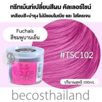 ราคา Top Secret Color Shine Hair Color Treatment 100ml ทรีทเม้นท์เปลี่ยนสีผม เคลือบสีสวย ผมไม่เสีย ไม่มีแอมโมเนีย (18331733793)