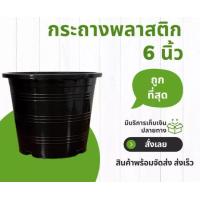 ราคา Flash Sale กระถางพลาสติก กะถางต้นไม้ กระถางปลูกต้นไม้ กระถางดำ สีดำ 7 5 นิ้ว เบอร์ 8 6 นิ้ว 5 นิ้ว 5 5 นิ้ว 4 นิ้ว 3 นิ้ว 2 5 นิ้ว พลาสติก (17986599825)
