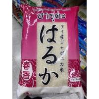 ราคา ฮารุคะ ข้าวญี่ปุ่น พันธุ์ดี ปลูกในประเทศไทย 2 Kg Japonica Rice (15236067346)