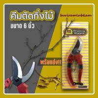 ราคา กรรไกรตัดกิ่ง ปากโค้ง 6นิ้ว Pruning shears แบบอย่างดี ลับคมให้พร้อม กรรไกรตัดกิ่งไม้ กรรไกรตัดแต่งกิ่งไม้ กรรไกรทำสวน กรรไกรแต่งกิ่งปากโค้ง (17383396432)