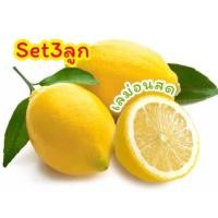 ราคา พร้อมส่ง เซ็ท3ลูก เลม่อนสดๆ lemon เปรี้ยวจี๊ดถึงใจ (20774195622)
