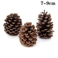ราคา 5 10ชิ้นลูกสนธรรมชาติคริสต์มาสลูกสนธรรมชาติสำหรับเครื่องประดับต้นคริสมาสต์งานฝีมือของตกแต่งบ้านของขวัญ (20133913772)