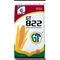 ราคา เมล็ดพันธ์ข้าวโพด GT822 3 5หุน ขนาด10กก (19199573194)