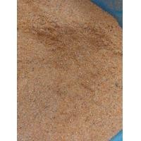 ราคา เศษกุ้งแห้ง แกลบกุ้ง อุดมไปด้วยโปรตีน แคลเซียม ขนาด 1 kg (20811912892)