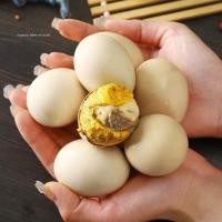 ราคา ไข่ลูก ไข่ลูกอ่อน ไข่ลูกไก่ ไข่ลูกระยะ 2 กำลังดี ไข่ลูกใหม่ สด สะอาด ไข่ลูกไก่เวียดนาม ไข่ลูกไก่ฮ้างฮ้ง Egg baby egg embryo egg chicken egg (11510229321)