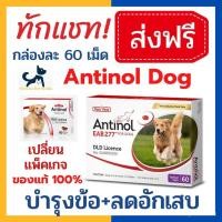 ราคา Antinol for dogs อาหารเสริม บำรุงข้อสุนัข ขนาด 60 เม็ด exp 03 2025 (20929467004)