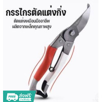 ราคา กรรไกรตัดกิ่งไม้ กรรไกรตัดกิ่ง กรรไกรแต่งกิ่ง กรรไกรบอนไซ กรรไกรตัดต้นไม้ กรรไกรกระตุกกิ่งไม้ กรรไกรตอนกิ่ง กรรไกรทำสวน (19544632595)