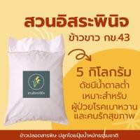 ราคา ข้าวกข43แท้ ข้าวขาวกข43 ข้าวน้ำตาลต่ำ ขนาด 5 กิโลกรัม ดัชนีน้ำตาลต่ำ เพื่อประโยชน์ที่ดีกว่า ตรา สวนอิสระพินิจ ไม่ซีลสูญญากาศ (20447886304)