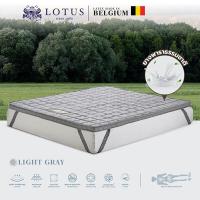 ราคา LOTUS ที่นอนยางพารานุ่มแน่น รุ่น Forestex II Light Gray หนา 3 นิ้ว ส่งฟรี (15589954589)