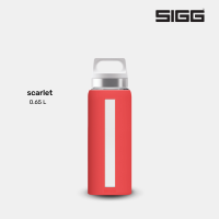 ราคา SIGG กระบอกน้ำ ขนาด 0 65 ลิตร Dream (10784269666)