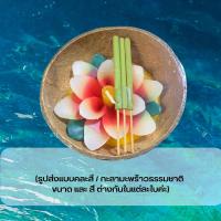 ราคา 27พฤศจิกา วันลอยกระทง กระทงเทียนดอกไม้ กะลาธรรมชาติ ปลอดภัยต่อสิ่งแวดล้อม กระทงกะลา ลอยกระทง (20577348804)