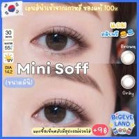 ราคา คอนแทคเลนส์ Mini Soff Brown Kitty Kawaii ขนาดมินิ (18707945229)