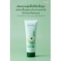 ราคา Giffarine โลชั่นทาผิว Body Lotion โลชั่นบำรุงผิว ครีมทาผิว บอดี้ โลชัน ครีมทาผิวขาว ทาตัว กุหลาบ ใบบัวบก แตงกวา ขิง ไวน์เทรนนิ่ง กันแดด (20254960701)