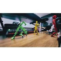 ราคา ของเล่นสำหรับเด็กผู้ชายพิมพ์3D ประกอบและลงสีเองมีดโรบูตุ๊กตาหัวไชเท้าไม้ขีดไฟมีหลายข้อต่อหุ่นยนต์เคลื่อนย้ายได้ทั้งตัว (21118705286)