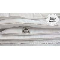 ราคา Elegantbedding ไส้ผ้านวมขนห่านเทียม (5945282249)