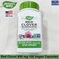 ราคา สมุนไพร เรด โคลเวอร์ Red Clover Blossom Herb 400 mg 100 Vegetarian Capsules Natures Way (9114166811)
